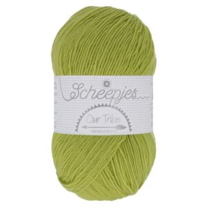 Scheepjes_Fir de tricotat sosete cu lana merino_OUR TRIBE_culoare 878 Pistachio Branch_Fistic
