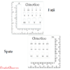 ChiaoGoo_Rigla pentru determinarea esantionului masurator pentru andrele_3